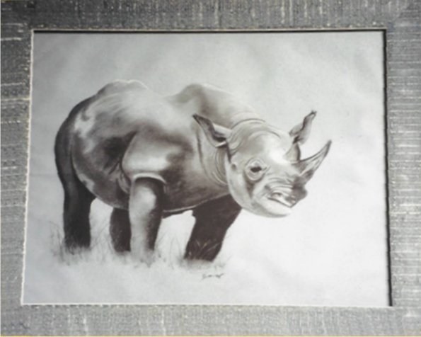 rhinoceros fusain 50 65